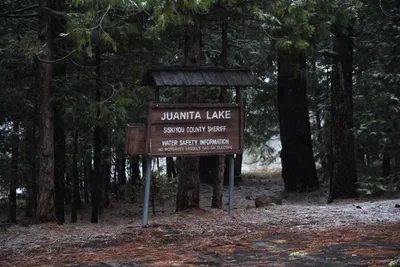 DSC_5838 (Large).JPG